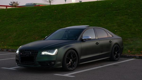 Matte Chrome Matte Blackish Green